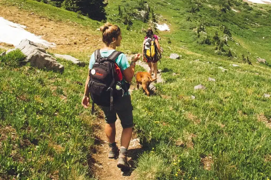 Grupo de pessoas caminhando em trilha cercada por vegetação, acompanhados por um cachorro, durante um dia ensolarado.