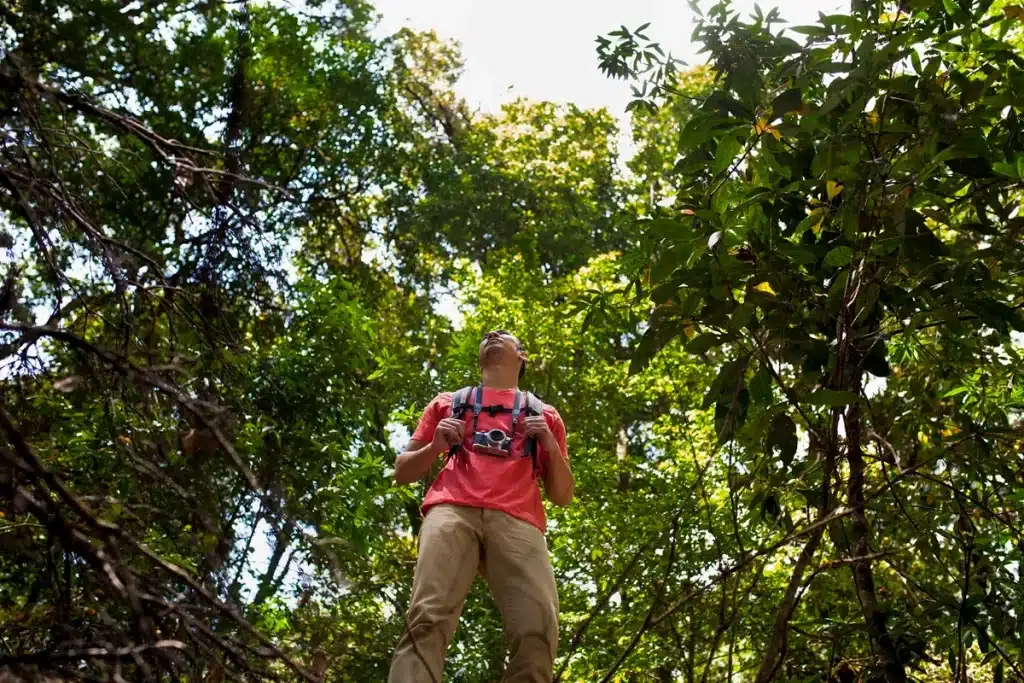 Homem com mochila e câmera em trilha de parque nacional olhando para cima, cercado por árvores e vegetação densa.